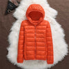 Leichte Steppjacke mit Kapuze | Wärmend und Stylisch | Alltagstauglich
